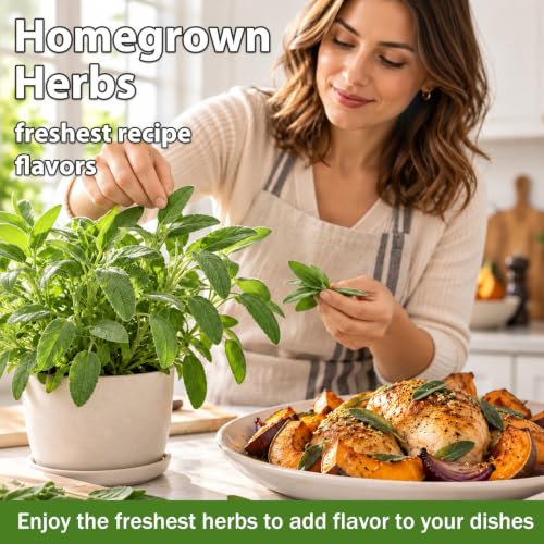 Indoor Herb Garden Kit, Complete Herb Starter Growing Kit with Seeds & Tools, Unique Christmas Birthday Gifts for Women Men Mom Dad, House Warming New Home Kitchen Gifts for Plant Lovers - view 5