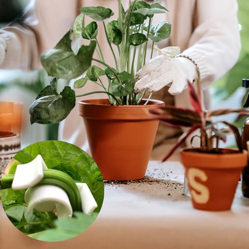 40 Pcs Low Stress Training Clips, 90 Degrees Plant Trainer Bud Plant Bender Plant Training Clips Bud Bender for Plant Gardening - White and Red - view 5