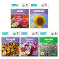 Organic Flowers Seeds Variety (5-Pack)