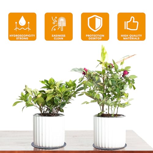 24 PCS Absorbent Waterproof Plant Coasters mat,4 Size 4/6/ 8/10 Inch Reversible Round Fabric Plant Coasters and Plant Saucers for Indoors,Plant mat for Indoor Plants - view 3