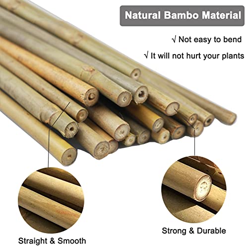 20 Pcs 18 Inch Natural Bamboo Plant Support Stakes for Indoor Plants, Bamboo Sticks Poles Garden Bamboo Stakes for Potted Plants, Tomato, Beans - view 3