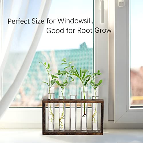 5Test Tube Plant Propagation Station Plant Terrarium Wooden Stand - view 3