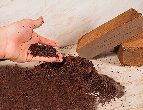 Coco Coir Brick 1.5 Lb Coconut Fiber Indoor Plant Soil 2 Pack - view 3