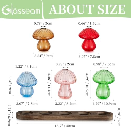Mushroom Glass Plant Propagation Station with Wooden Stand 5Pcs - view 6