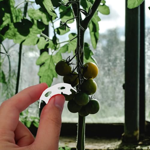 100pcs Plant Bending Clips Plastic Stem Supports for Tomatoes Vines - view 5