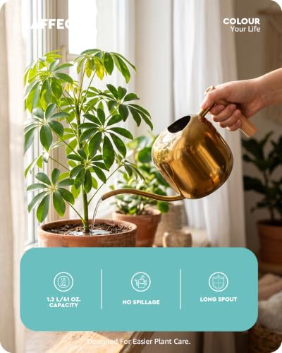Watering Can Indoor Plants with Long Spout, 1.2L / 41oz (Glod) - view 2