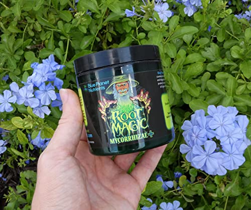 Root Magic Mycorrhizae + | Ultra-Fine Powder with Beneficial Bacteria | Better Root Growth, Nutrient Uptake & Bigger Harvests for All Plants - view 2