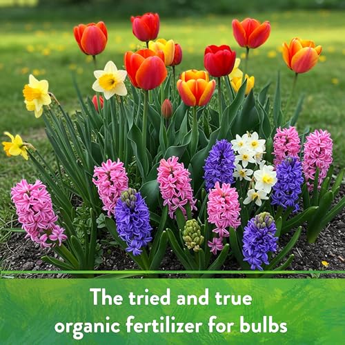 Organic Bone Meal - High Phosphorus Plant Food for Buds, Bulbs, Blooms, Flowers 3-15-0, 5 lb - view 6