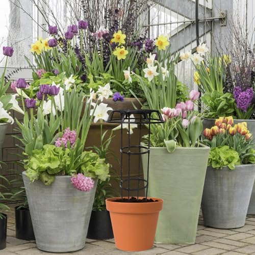 Climbing Plants Trellis Plastic Coated Iron Support Φ25.4 - view 4