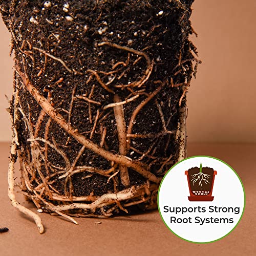Snake Plant Soil, 4 qt, Coco Coir Potting Mix - view 5