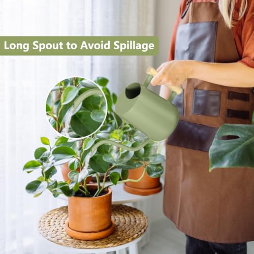 Watering Can Indoor Plants, 35oz Small Indoor Stainless Steel Metal Watering Can Modern Decorative Watering Pot with Long Spout for Indoor House Plant Bonsai Garden Flowers (Sage Green) - view 2