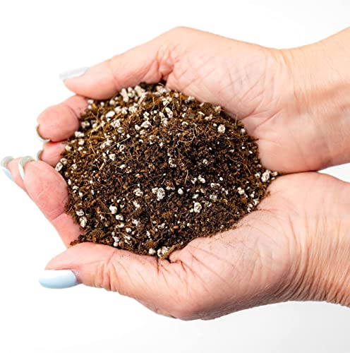 Premium Organic Potting Soil for Green Beans - (1 Quart Bag) - view 2