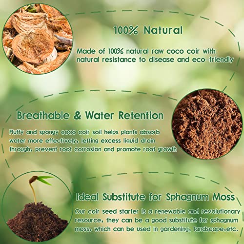 4 Quarts Natural Sphagnum Moss Potting Mix & 2 Pack Premium Coco Coir Brick for Plants- Potting Soil Mix Planting Growing Medium for Plants Gradening - view 5