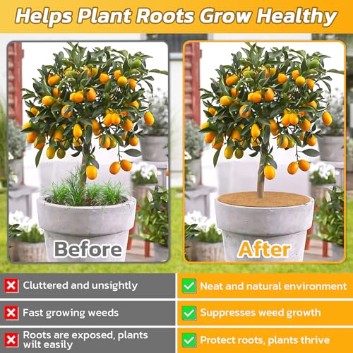6 Pack Coconut Fiber Mulch Ring Tree Plant Protector Mat, 24 Inch - view 5