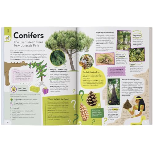 My First Plant Book - view 4