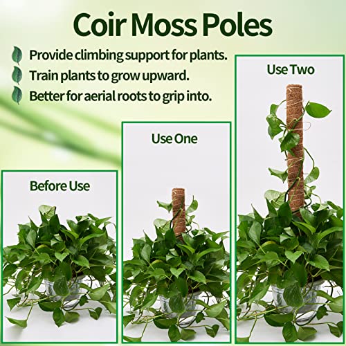 Moss Pole 68in for Plants Monstera 6pcs - view 2