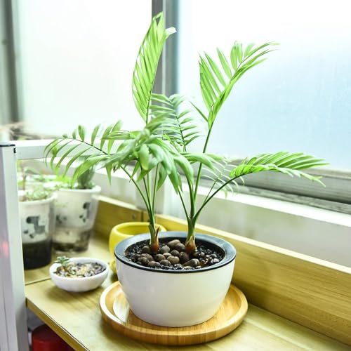 2 Pack Bamboo Saucer, 10.5 inch Plant Saucer, Round Bamboo Tray for Modern Ceramic Flower Pot, Planter Pot Tray, Also Use Cup Holder, Spoon Holder, Kitchen Utensil Rest - view 3