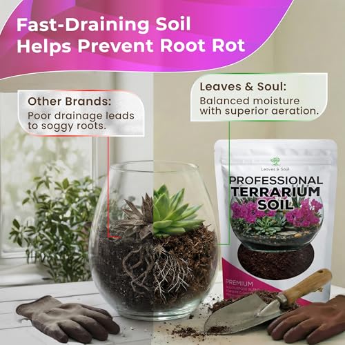 Professional Terrarium Soil Mix 2.2 Quarts Ready to Use, Premium Terrarium Potting Soil for Succulents Cactus Aloe Plants, Pine Bark Peat Coarse Sand, Well Draining Terrarium Mix Made in USA - view 6