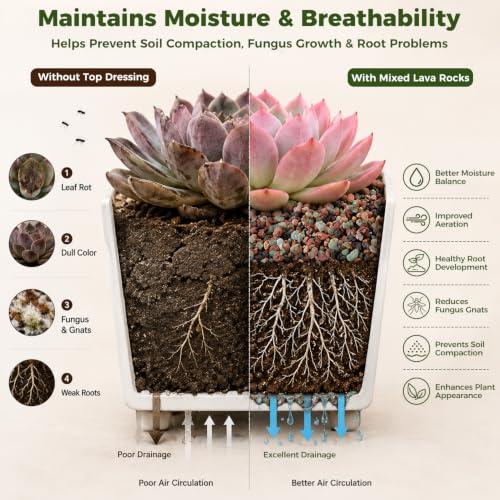 11 Pounds Mix Horticultural Lava Rocks, 3-6 mm Lava Rocks for Plants, Bonsai Rocks Horticultural Grit Soil Cover Gravel for Succulents and Hydroponics, Fairy Gardening, Top Dressing, Plant Drainage - view 6