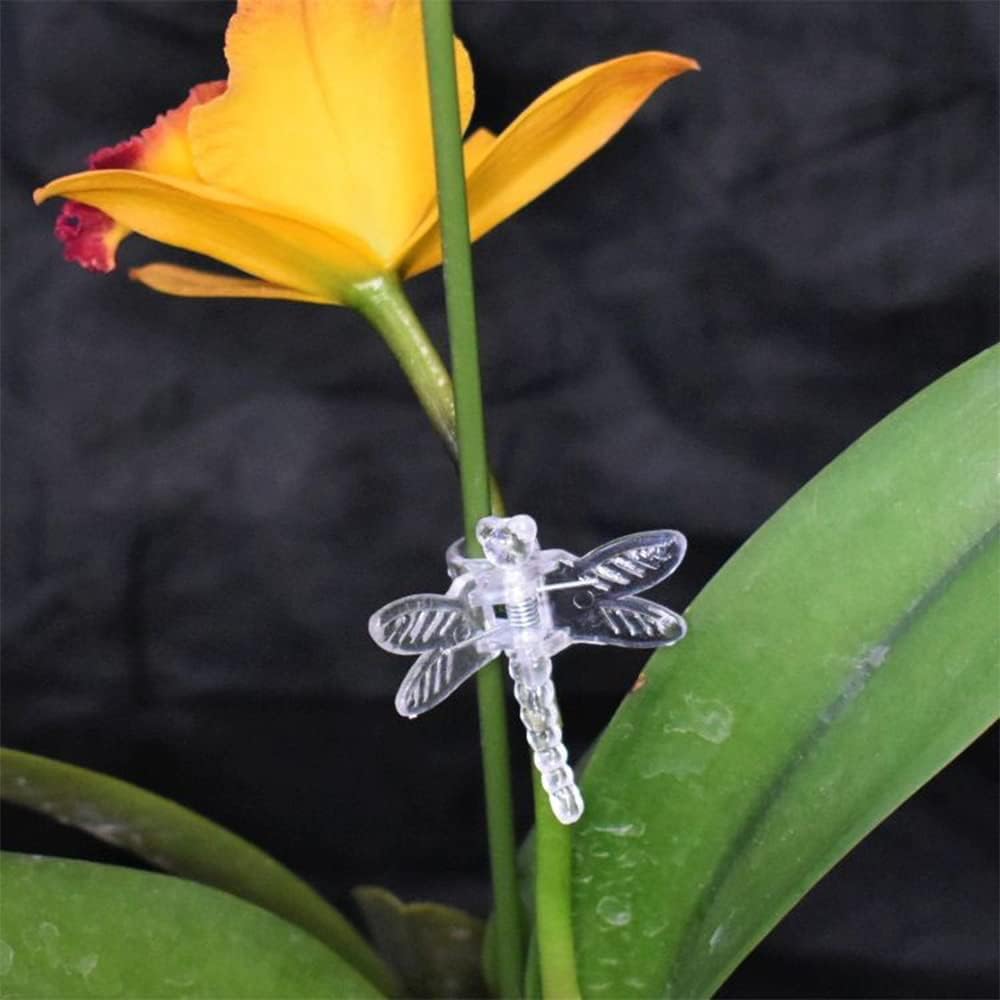 100Pcs Plant Orchid Clips, Garden Plant Support Clip | Dragonfly Orchid Clips, Portable Cute Flower Vine Clips(Transparent) - view 7