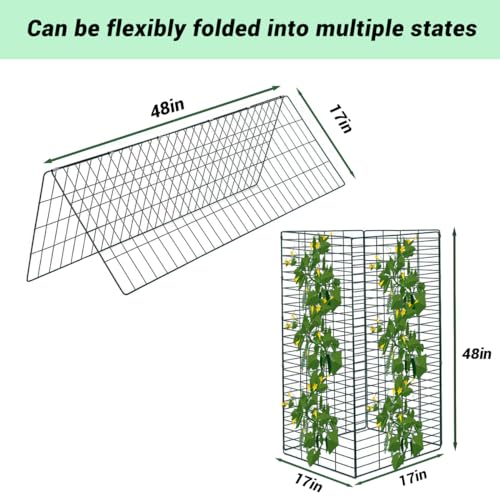 Foldable Cucumber Trellis, Heavy Duty Steel Plant Support Frame (2pack) - view 4