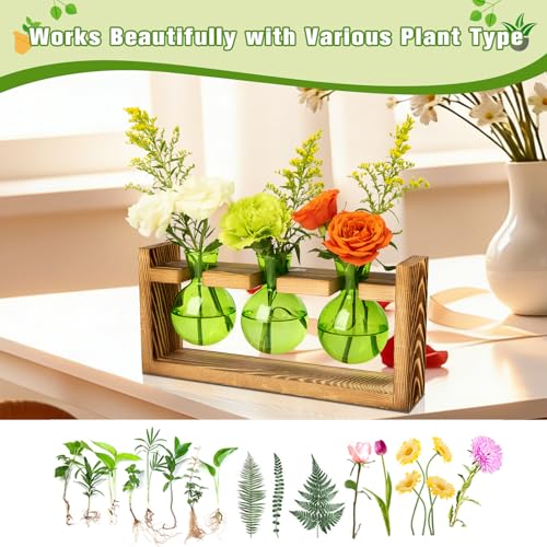 Plant Terrarium Jar Propagation Station Stand 3 Green Bulb Vases - view 5