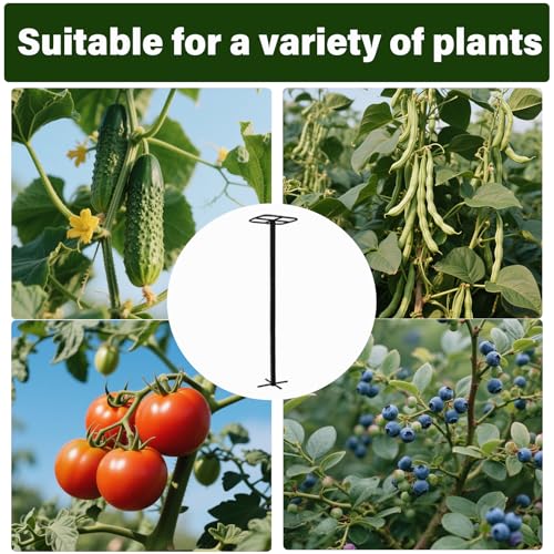 2PCS 50" Metal Dragon Fruit Trellis,Durable Vertical Garden Support - view 5