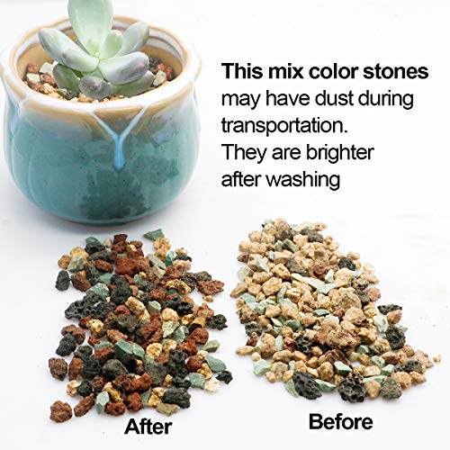 Mix Horticultural Lava Rock Pebbles Pumice Potting Soil Amendment Succulent Cactus Bonsai Gritty Rock Decorative Gravel Plant Drainage Volcanic for Terrarium Fairy Gardening Top Dressing 6lb - view 4
