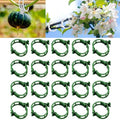 Plant Support Clips Reusable Garden Clips, Secured Plastic Plant Clips, Tomato Support Clips for String Trellis for Climbing Plants Outdoor Indoor Plant Flowers Stem Vine Fixing Clips (300, Green)
