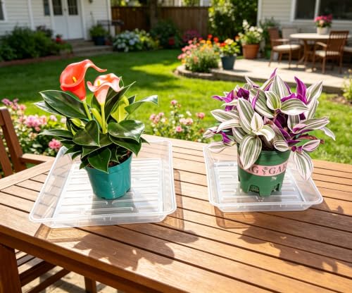 2 Pack 12 Inch Square Plant Saucer Heavy Duty, Plastic Drip Tray for Garden & Bird Bath Bowl, Clear - view 5