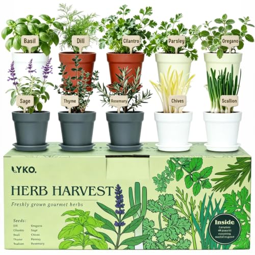 10 Indoor Herb Garden Kit, 33-Piece Complete Kitchen Herb Starter Set