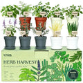 10 Indoor Herb Garden Kit, 33-Piece Complete Kitchen Herb Starter Set