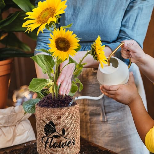 Indoor Daisy Garden Starter Kit, 4 Flower Seeds Growing into Shasta Daisy, Cornflower, Sunflower, Zinnia, Including Complete Gardening Tools for Women Men & Beginners - view 7