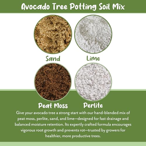 Avocado Tree Potting Soil Mix (12 Quarts) for Germinating, Growing and Repotting Avocado Plants - view 5