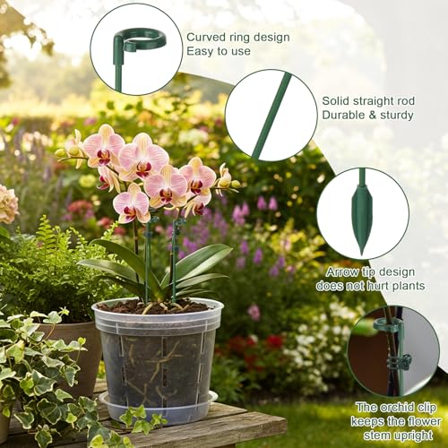 30 Sets Small Plant Stakes for Indoor Plants, 3 Size 6.7/10.6/14.6 Inches - view 3