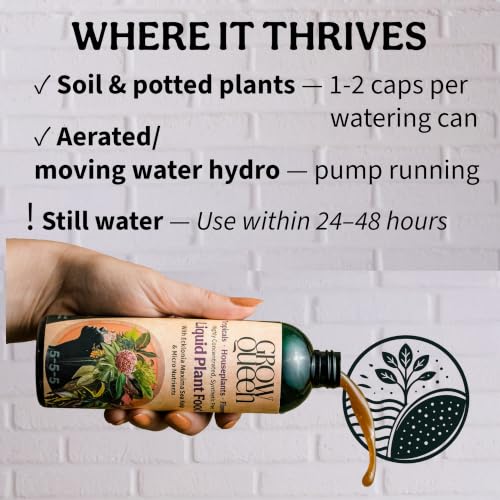 Organic Liquid Indoor Plant Food, Houseplant, Tropical & All-Purpose Indoor Plant Fertilizer, Organic Liquid Fertilizer 5-5-5 with Sea Kelp, 8oz Treats 50 Gallons - view 3