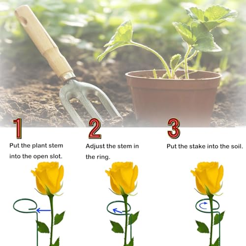 10 Pieces 24 inch Green Single Stem Plant Stakes Flower Support Rings,Gardening Planter Cages for Single Stem Flowers, Amaryllis, Peony, Lily,Narcissus - view 3