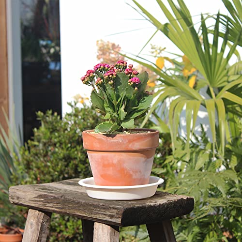 12 Pack 4.55 Inch White Plastic Round Plant Pot Saucer - view 5