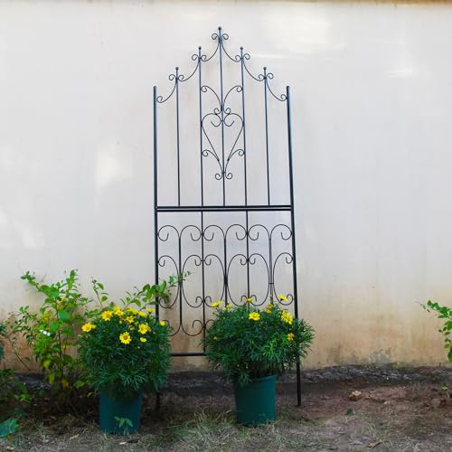 Garden Trellis for Climbing Plants 70.8" H x 25.6" W Metal Premium Quality Material Rust-Resistant Climbing Frame Stylish Garden Addition Outdoor Roses Vine Ivy Clematis Trellises Black - view 2