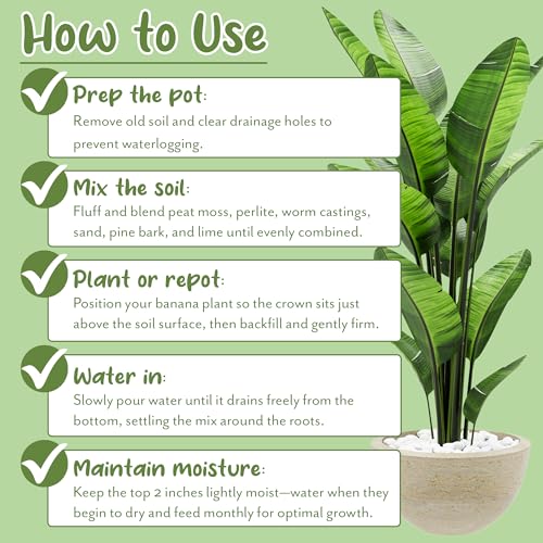 Banana Tree Potting Soil Mix (12 Quarts) – Hand-Blended Indoor/Outdoor Mix for Healthy Banana Plants – Enhances Drainage & Root Support – Made in USA - view 7