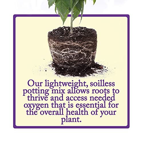 Professional Lightweight Potting Mix, 44 Quart Bag - Soilless Blend for Indoor/Outdoor Plants - Raised Beds & Containers - Peat Moss, Perlite, Bark, Lime - view 2