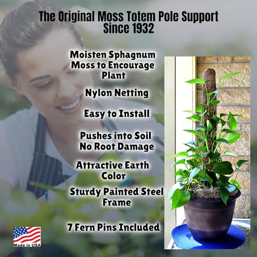 Sphagnum Moss Pole for Indoor Plants, Monstera Moss Pole, Plant Pole Made in USA - Ideal for Climbing Plants, Enhances Plant Growth & Stability - 12" Height - view 4