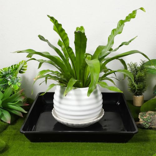 6pcs Square Plant Pot Saucer Black Plastic Drip Tray for Balcony Gardening - view 5