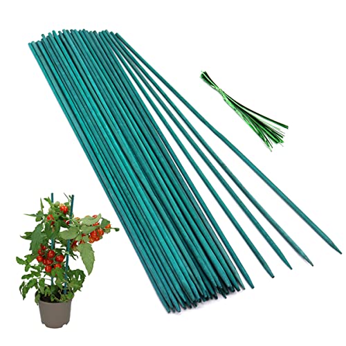 Green Bamboo Plant Stakes, 50 Pcs 18 Inches Floral Support Sticks
