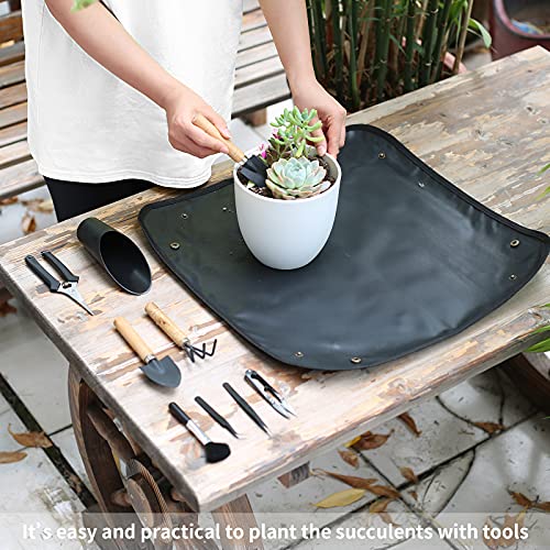 11Pcs Succulent Tools, Mini Garden Tools, Plant Repotting Set(No Flowerpot) - view 5