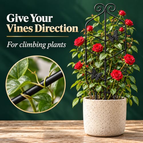30" Metal Trellis for Potted Climbing Plants, Indoor Outdoor, 2PC - view 4
