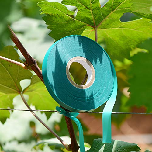 2 Pcs 150 Feet x 1/2" Wide Stretch Tie Tape Green Plant Garden Tie, Garden Vinyl Stake for Branches, Climbing Planters, Flowers - view 7