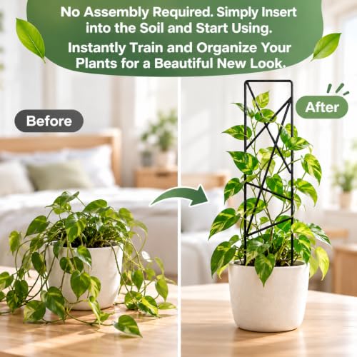17.5 inch Small Trellis for Potted Plants, Metal Plant Trellis Indoor - view 4