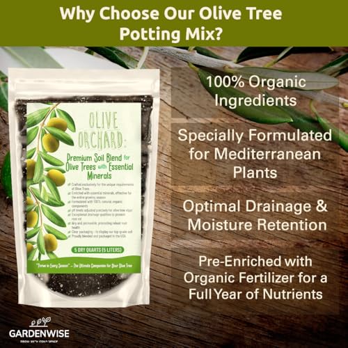 Organic Olive Tree Potting Mix – Fast-Draining, Nutrient-Rich Soil for Indoor & Outdoor Olive Trees – Mediterranean Plant Care – Long-Lasting Formula (4 QUARTS) - view 2