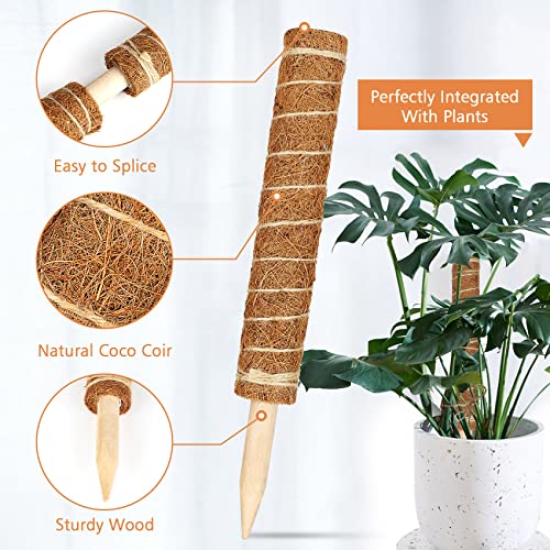 【4 Pack】 Moss Pole, 17 inch Coco Coir Totem Poles Extending to 53 Inches, Plant Support Stick Plant Poles for Indoor Plants Climbing Plants Monstera, Sphagnum, Pothos - view 3